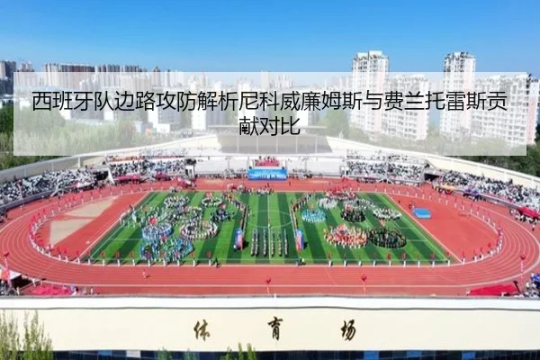西班牙队边路攻防解析尼科威廉姆斯与费兰托雷斯贡献对比